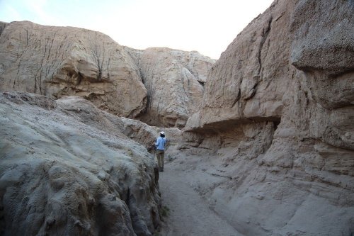 A person stands on a narrow path between towering, rocky canyon walls under a clear sky.