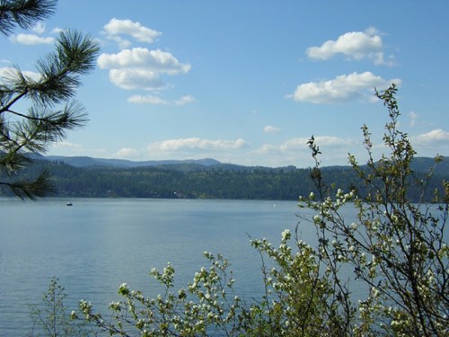 A serene lake surrounded by trees and blooming flowers, with a clear blue sky and fluffy white clouds above.