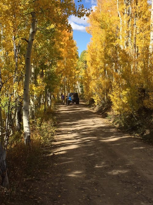 A dirt road lined with vibrant yellow aspen trees, with a vehicle and two people in the distance.