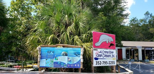 Sign for A Crystal River Kayak Company with manatee illustration, surrounded by trees and a clear blue sky.