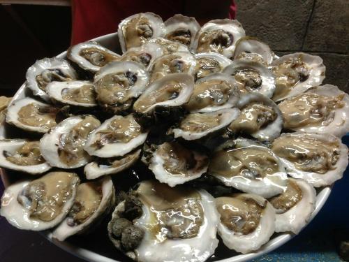 A large platter filled with fresh, opened oysters, glistening with their natural juices.