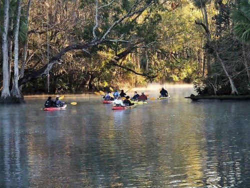 A group of kayakers paddles through a misty river surrounded by lush trees and greenery.