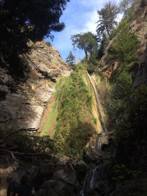 A lush waterfall cascading down a rocky cliff, surrounded by greenery and trees under a blue sky.
