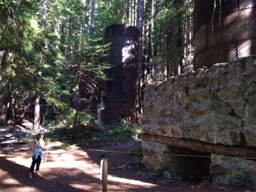 A person stands near large, rusted industrial structures surrounded by tall trees in a forested area.