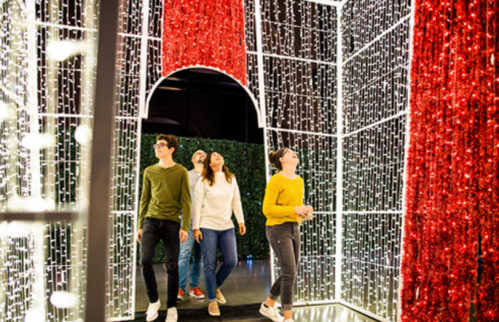 Three people admire colorful holiday lights in a festive display, walking through a sparkling archway.