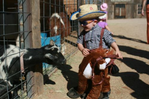 A child in a cowboy hat and costume interacts with a goat at a petting farm.