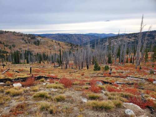 A scenic view of a mountainous landscape with sparse trees, autumn foliage, and distant hills under a cloudy sky.