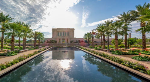A serene landscape featuring a reflecting pool, palm trees, and a building under a bright sky.