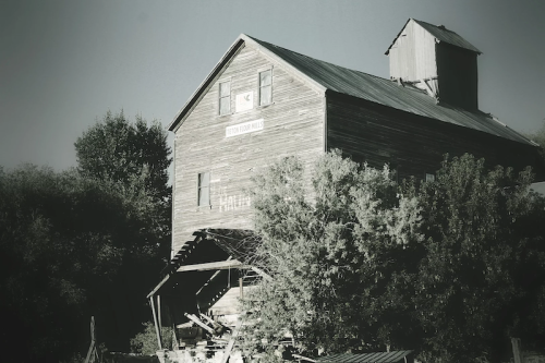 A weathered wooden barn with a slanted roof, surrounded by trees, in a black-and-white setting.