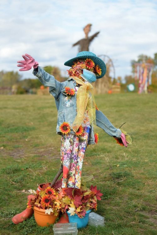 A colorful scarecrow adorned with flowers and a hat stands in a grassy field, surrounded by autumn decorations.
