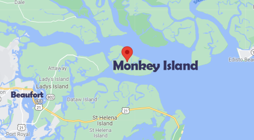 Map showing Monkey Island located in a waterway near Beaufort, South Carolina, with surrounding islands and roads.