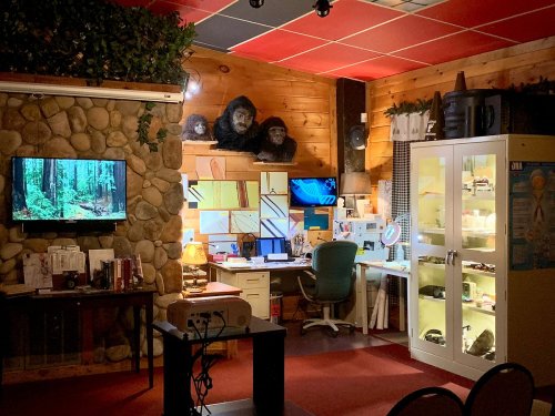 A cozy room with wooden walls, a stone fireplace, two desks with computers, and a display cabinet, featuring a nature scene on TV.