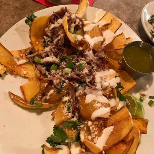 A plate of nachos topped with shredded meat, drizzled with sauce, and garnished with green onions and cilantro.