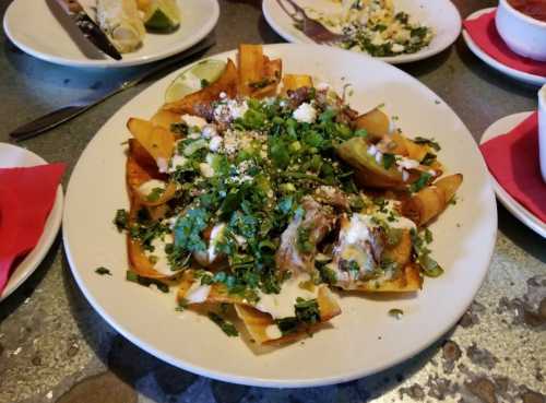 A plate of nachos topped with shredded meat, cheese, sour cream, and fresh cilantro, served with lime wedges.