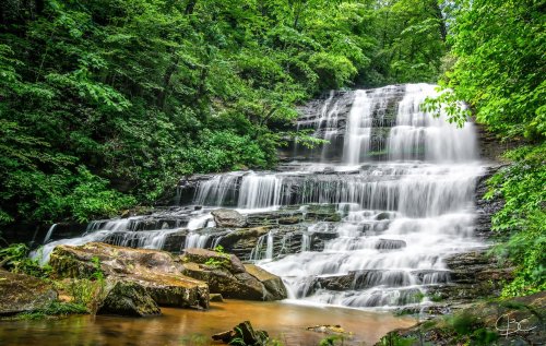 A serene waterfall cascades over rocks, surrounded by lush green foliage in a tranquil forest setting.