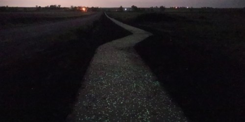 A winding path illuminated by glowing specks, set against a dark landscape at night.
