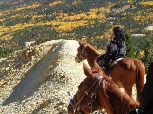 A person on horseback gazes at a scenic view of autumn-colored trees and hills.