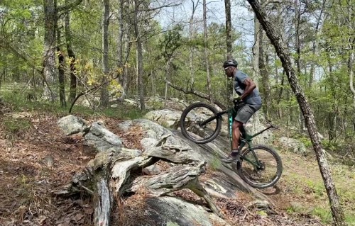 A mountain biker navigates rocky terrain in a forested area, showcasing skill and balance on the bike.