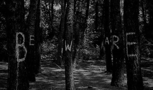 A dark forest with trees displaying the words "BEWARE" painted in white on the bark.