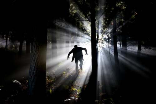 A silhouette of a person walking through a misty forest, with beams of light filtering through the trees.
