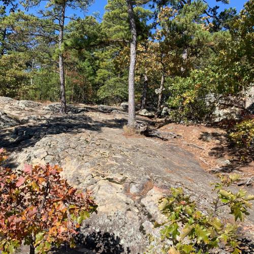 A rocky landscape surrounded by trees and shrubs under a clear blue sky.