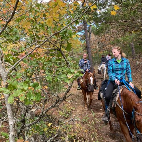 Two people on horseback ride along a wooded trail with autumn foliage.