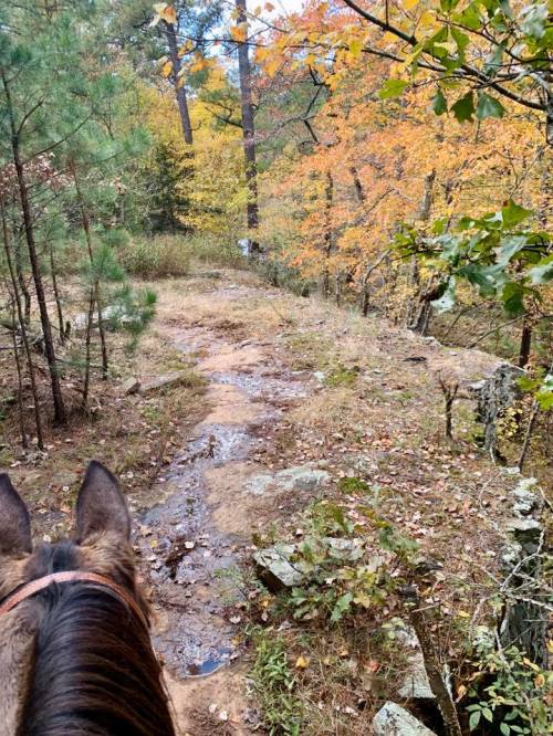 View from horseback along a winding trail surrounded by autumn foliage and rocky terrain.