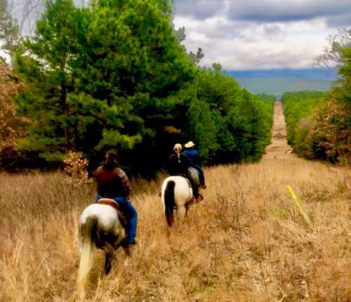 Two riders on horseback traverse a grassy path lined with trees, leading into a distant, scenic landscape.