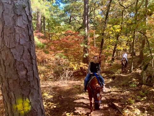 Two riders on horseback navigate a wooded trail with colorful autumn foliage.