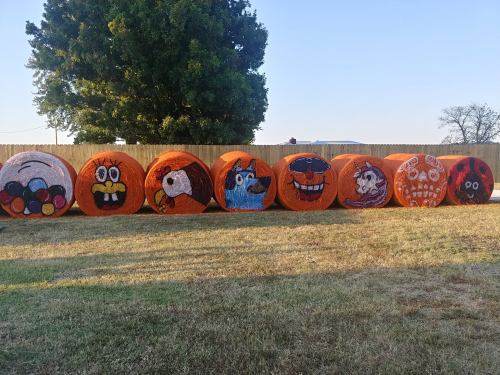 Colorful painted hay bales featuring various cartoon characters, lined up against a wooden fence in a grassy field.