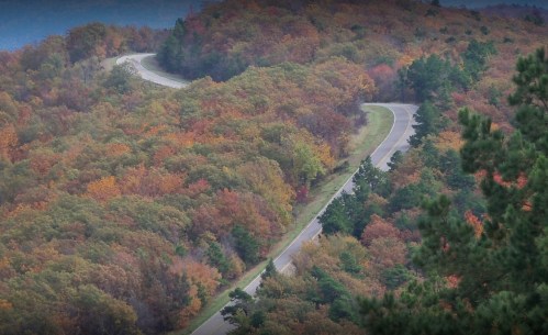 Winding road through a vibrant forest in autumn, showcasing colorful foliage and rolling hills.