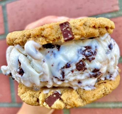 A hand holding a cookie ice cream sandwich with chocolate chip cookies and chocolate chip ice cream.