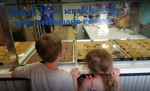 Two children gaze at a display of freshly baked cookies in a bakery, with a sign reading "Baked from scratch daily."