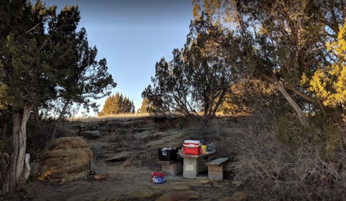 A secluded outdoor area with trees, featuring coolers and boxes on the ground, under a clear blue sky.