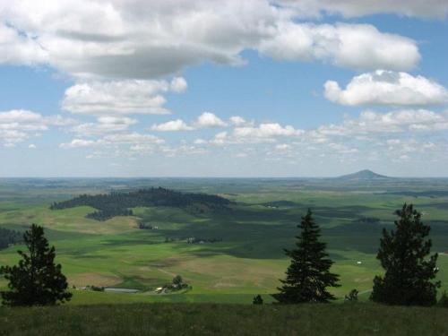 A panoramic view of rolling green hills under a blue sky with fluffy clouds, dotted with trees and distant mountains.