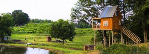 A small orange treehouse on stilts beside a pond, surrounded by green fields and trees.