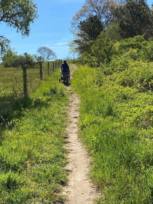 A person walks down a grassy path lined with trees and a fence, carrying a cart on a sunny day.