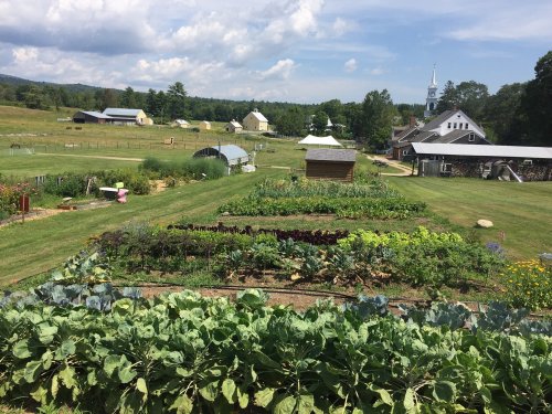 A lush vegetable garden with rows of crops, surrounded by fields and farm buildings under a blue sky with clouds.