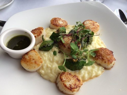 A plate of creamy risotto topped with seared scallops, greens, and a drizzle of green sauce.