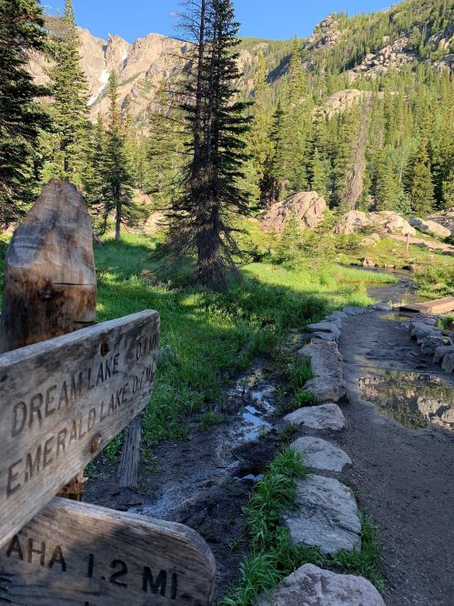 A wooden signpost points to Dream Lake and Emerald Lake, surrounded by lush greenery and rocky terrain in a mountainous area.