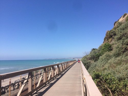 A wooden walkway along the coast, with ocean waves and greenery on one side under a clear blue sky.