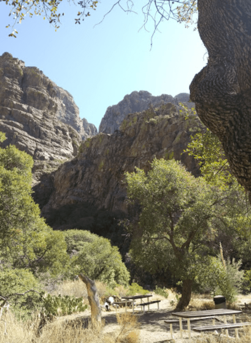 A scenic view of rocky cliffs and lush greenery in a canyon, with picnic tables in the foreground under a clear blue sky.