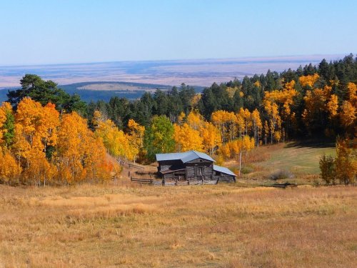 A rustic cabin surrounded by vibrant autumn trees and a vast landscape under a clear blue sky.