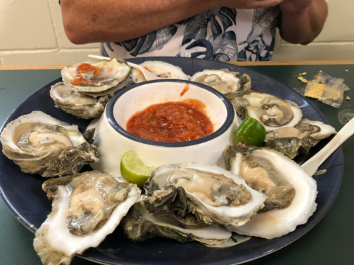 A plate of fresh oysters with a bowl of cocktail sauce and lime wedges, served on a green table.