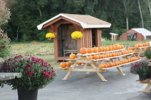 A rustic stand with pumpkins on display, surrounded by colorful flowers and a backdrop of trees.