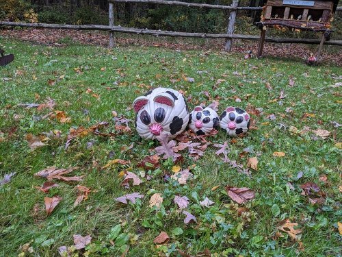 Three playful cow decorations on a grassy lawn, surrounded by fallen leaves and a wooden fence in the background.