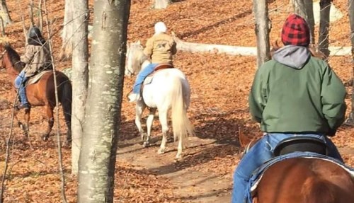 Three people on horseback riding through a wooded area covered in autumn leaves.