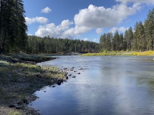 A serene river flows through a forested landscape under a blue sky with fluffy clouds.