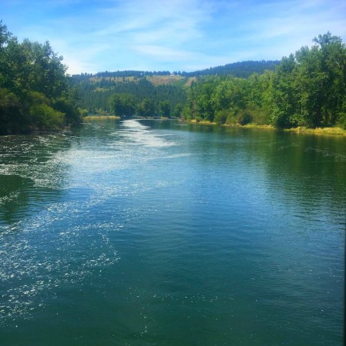 A serene river flows through lush greenery under a clear blue sky, surrounded by rolling hills.