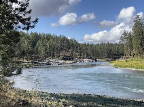 A serene river flows through a forested landscape, with rocky banks and a blue sky dotted with clouds.